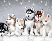 Thumbnail for Husky Dogs Diamond Painting Kit - DIY