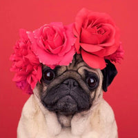 Thumbnail for Pug Roses Diamond Painting Kit - DIY