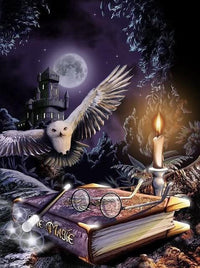 Thumbnail for Owl Night Book Diamond Painting Kit - DIY