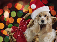 Thumbnail for Dog Christmas Toy Diamond Painting Kit - DIY