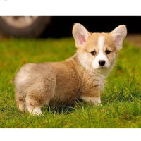 Thumbnail for Corgi Dog Diamond Painting Kit - DIY