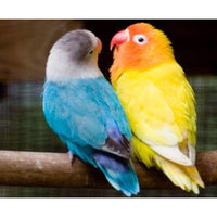 Thumbnail for Yellow and Blue Diamond Painting Kit - DIY