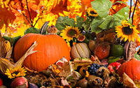 Thumbnail for Thanksgiving Day Happy Diamond Painting Kit - DIY