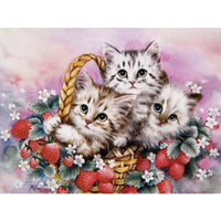 Thumbnail for Cat In The Basket Diamond Painting Kit - DIY