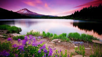 Thumbnail for Embroidery Landscape Diamond Painting Kit - DIY
