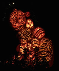 Thumbnail for Tiger Lights Diamond Painting Kit - DIY