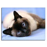 Thumbnail for Sleeping Cat Diamond Painting Kit - DIY