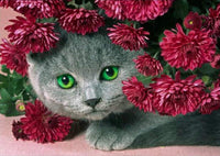 Thumbnail for 5d Cat Diamond Painting Kit Premium-17