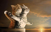 Thumbnail for 5d Cat Diamond Painting Kit Premium-2