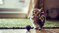 Thumbnail for 5d Cat Diamond Painting Kit Premium-31