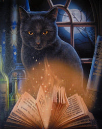 Thumbnail for 5d Cat Diamond Painting Kit Premium-44