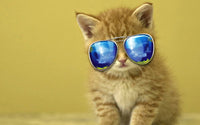 Thumbnail for 5d Cat Diamond Painting Kit Premium-48