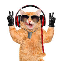 Thumbnail for 5d Cat Diamond Painting Kit Premium-49