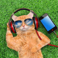 Thumbnail for 5d Cat Diamond Painting Kit Premium-50