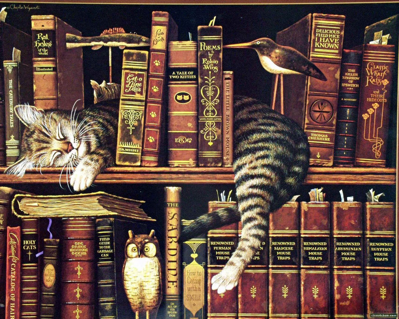 5d Cat Diamond Painting Kit Premium-51