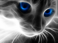 Thumbnail for 5d Cat Diamond Painting Kit Premium-58