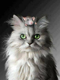 Thumbnail for 5d Cat Diamond Painting Kit Premium-67