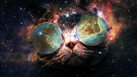 Thumbnail for 5d Cat Diamond Painting Kit Premium-70