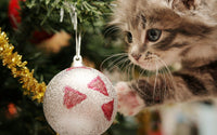 Thumbnail for 5d Cat Diamond Painting Kit Premium-75