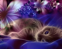 Thumbnail for 5d Cat Diamond Painting Kit Premium-76