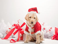 Thumbnail for Christmas Diamond Painting Kit - DIY Christmas-13