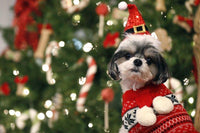 Thumbnail for Christmas Diamond Painting Kit - DIY Christmas-19