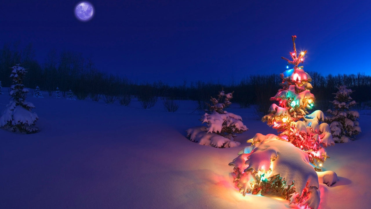 Christmas Diamond Painting Kit 5D - DIY Season 2-111