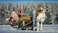 Thumbnail for Christmas Diamond Painting Kit 5D - DIY Season 2-141