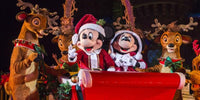 Thumbnail for Christmas Diamond Painting Kit 5D - DIY Season 2-170