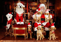 Thumbnail for Christmas Diamond Painting Kit 5D - DIY Season 2-25