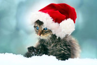 Thumbnail for Christmas Diamond Painting Kit 5D - DIY Season 2-79