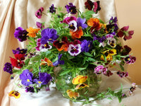 Thumbnail for Flower Diamond Painting Kit - DIY Flower-15