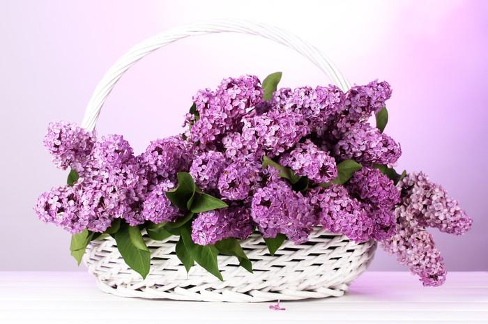 Flower Diamond Painting Kit - DIY Flower-22