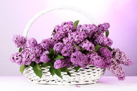 Thumbnail for Flower Diamond Painting Kit - DIY Flower-22