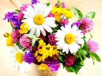 Thumbnail for Flower Diamond Painting Kit - DIY Flower-44