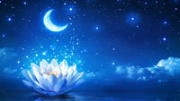 Thumbnail for Flower Diamond Painting Kit - DIY Flower-78
