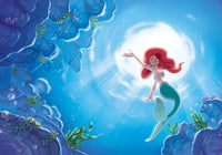 Thumbnail for Mermaid Diamond Painting Kit - DIY Mermaid-11