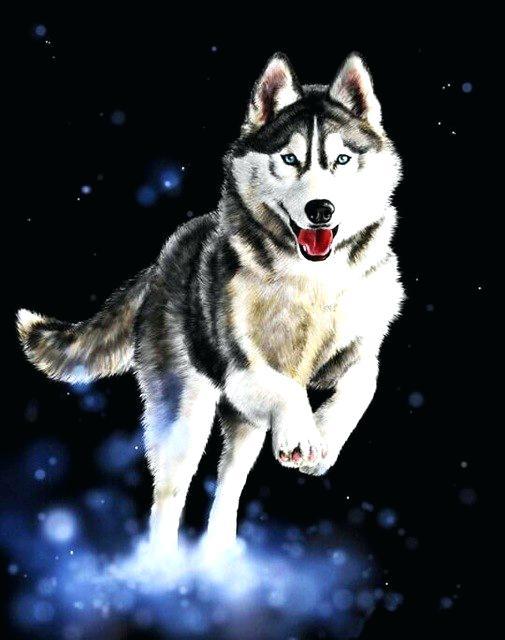 Husky Cut Diamond Painting Kit - DIY