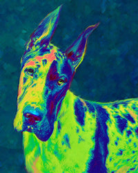 Thumbnail for Great Dane Color Green Diamond Painting Kit - DIY