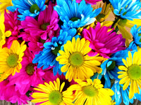 Thumbnail for Rainbow Flowers Diamond Painting Kit - DIY Rainbow Flowers-11