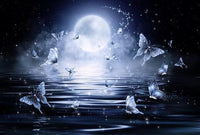 Thumbnail for White Butterfly Diamond Painting Kit - DIY