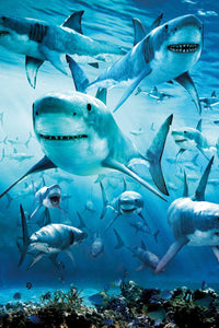 Thumbnail for Sharks Animal Diamond Painting Kit - DIY
