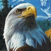Thumbnail for Eagle Seeing Diamond Painting Kit - DIY