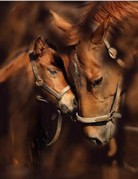 Thumbnail for Horses Love Forever Diamond Painting Kit - DIY
