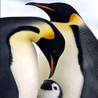 Thumbnail for Family Of Penguins Diamond Painting Kit - DIY