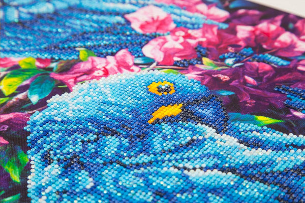 Top 30 Diamond Painting Tips that Every Beginner Needs