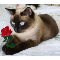 Thumbnail for Cat And Rose Diamond Painting Kit - DIY