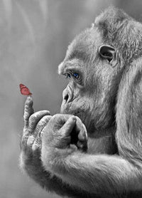 Thumbnail for Gorilla and Butterfly Diamond Painting Kit - DIY