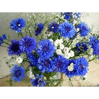 Thumbnail for White and blue flowers Diamond Painting Kit - DIY