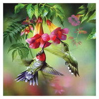 Thumbnail for Hummingbird Full Flowers Diamond Painting Kit - DIY
